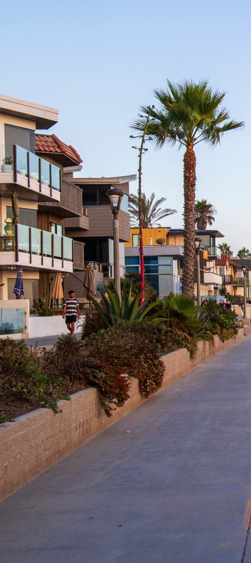 Building with pine tree evening